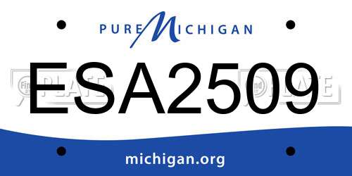 ESA2509 Michigan License Plate