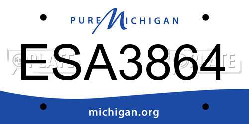 ESA3864 Michigan License Plate