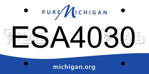 ESA4030 Michigan License Plate