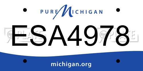 ESA4978 Michigan License Plate
