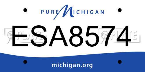 ESA8574 Michigan License Plate