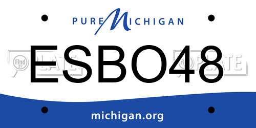 ESBO48 Michigan License Plate