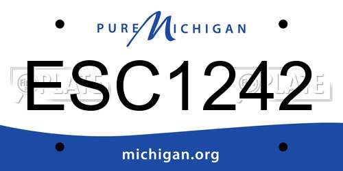 ESC1242 Michigan License Plate