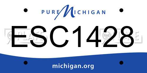 ESC1428 Michigan License Plate