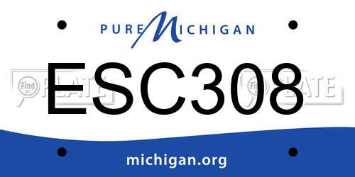ESC308 Michigan License Plate