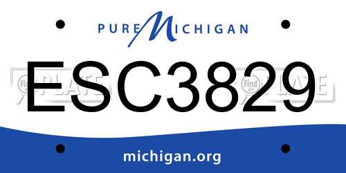 ESC3829 Michigan License Plate