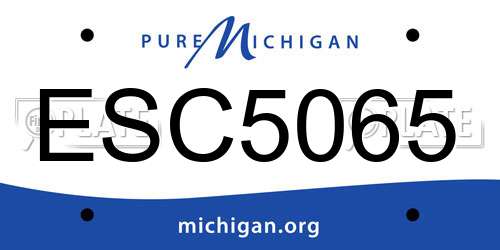 ESC5065 Michigan License Plate