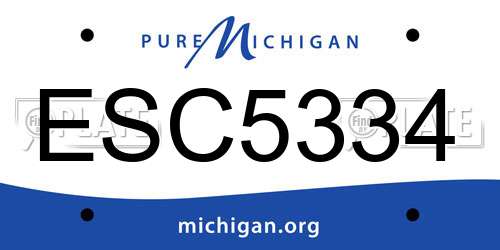 ESC5334 Michigan License Plate