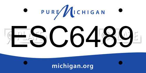 ESC6489 Michigan License Plate