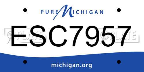 ESC7957 Michigan License Plate