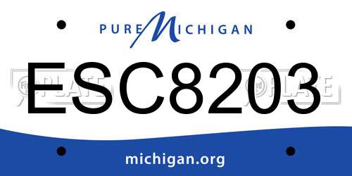 ESC8203 Michigan License Plate