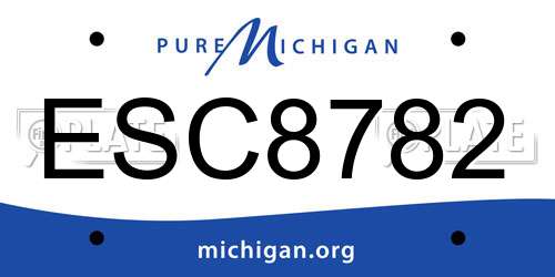 ESC8782 Michigan License Plate