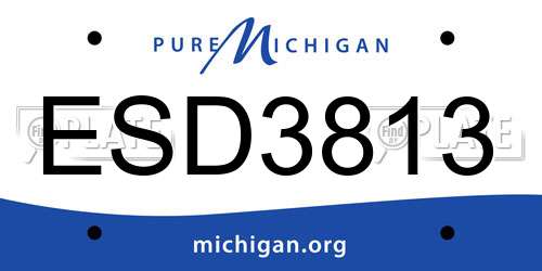 ESD3813 Michigan License Plate