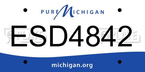 ESD4842 Michigan License Plate