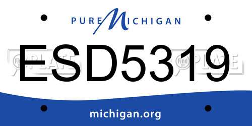 ESD5319 Michigan License Plate