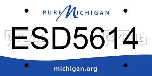 ESD5614 Michigan License Plate