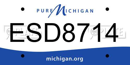ESD8714 Michigan License Plate