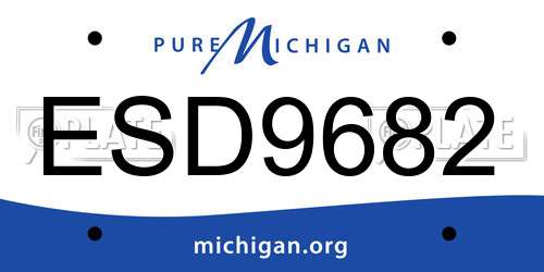 ESD9682 Michigan License Plate