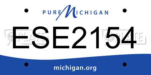 ESE2154 Michigan License Plate