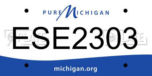 ESE2303 Michigan License Plate