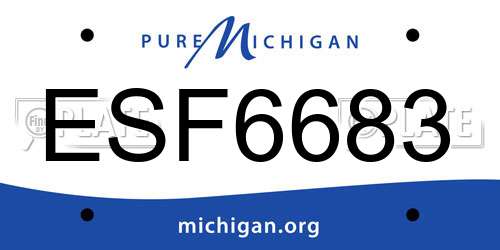 ESF6683 Michigan License Plate