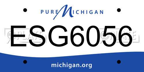 ESG6056 Michigan License Plate