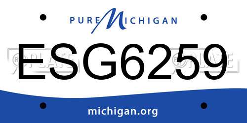 ESG6259 Michigan License Plate