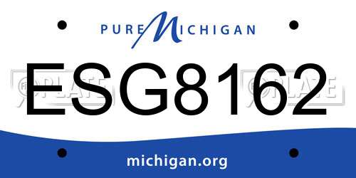 ESG8162 Michigan License Plate