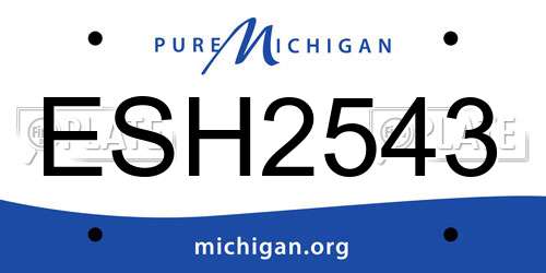 ESH2543 Michigan License Plate