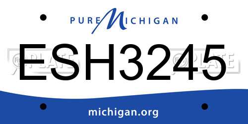 ESH3245 Michigan License Plate