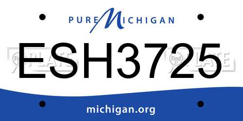 ESH3725 Michigan License Plate