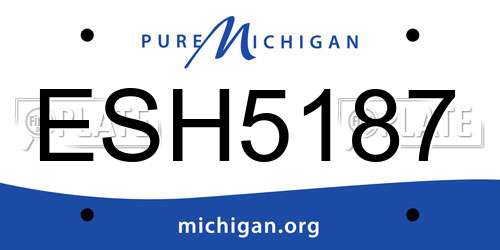 ESH5187 Michigan License Plate