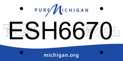 ESH6670 Michigan License Plate