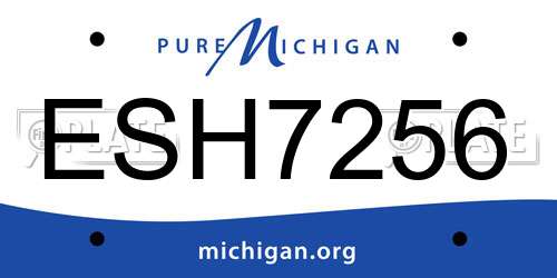 ESH7256 Michigan License Plate