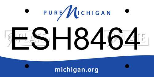 ESH8464 Michigan License Plate