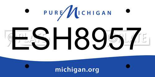 ESH8957 Michigan License Plate