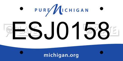 ESJ0158 Michigan License Plate