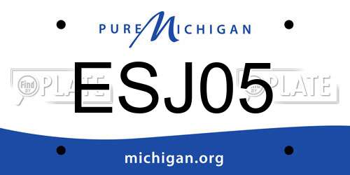 ESJ05 Michigan License Plate