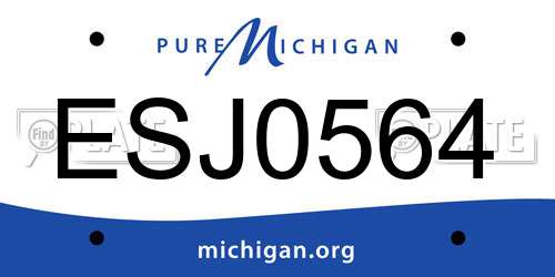 ESJ0564 Michigan License Plate