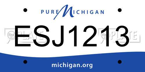 ESJ1213 Michigan License Plate