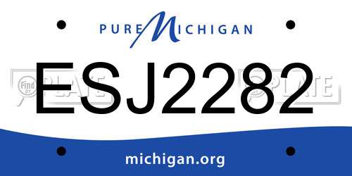 ESJ2282 Michigan License Plate