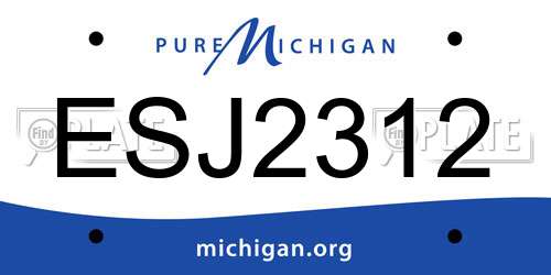 ESJ2312 Michigan License Plate