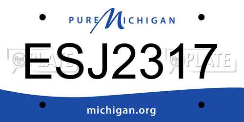 ESJ2317 Michigan License Plate