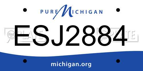 ESJ2884 Michigan License Plate