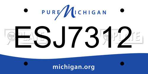 ESJ7312 Michigan License Plate