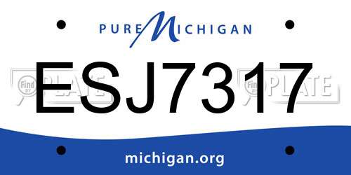 ESJ7317 Michigan License Plate
