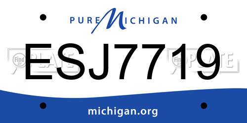 ESJ7719 Michigan License Plate