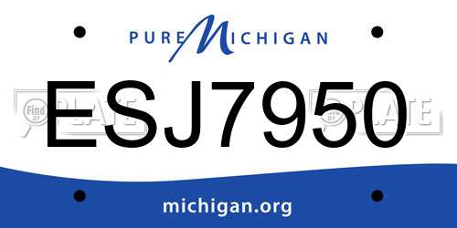 ESJ7950 Michigan License Plate
