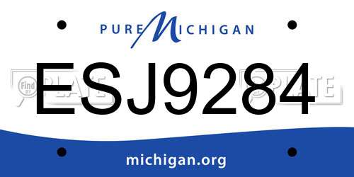 ESJ9284 Michigan License Plate