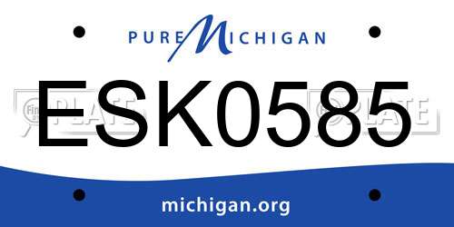 ESK0585 Michigan License Plate